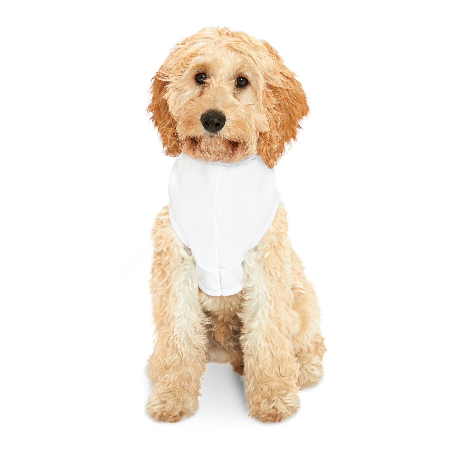 I'm and Talk Back Expensive Pet Hoodie