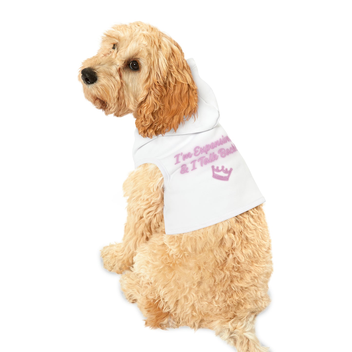 I'm and Talk Back Expensive Pet Hoodie
