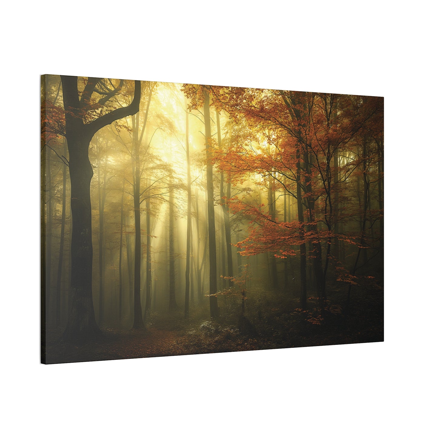 Misty Woods 1 Canvas Stretched, 0.75"