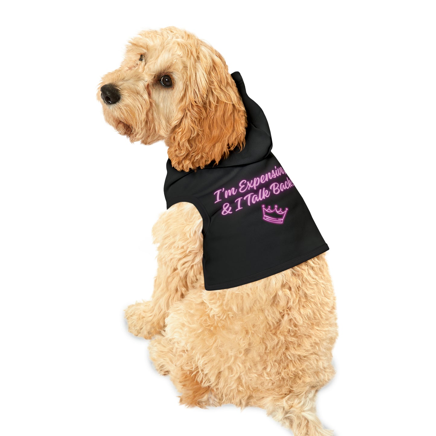 I'm and Talk Back Expensive Pet Hoodie