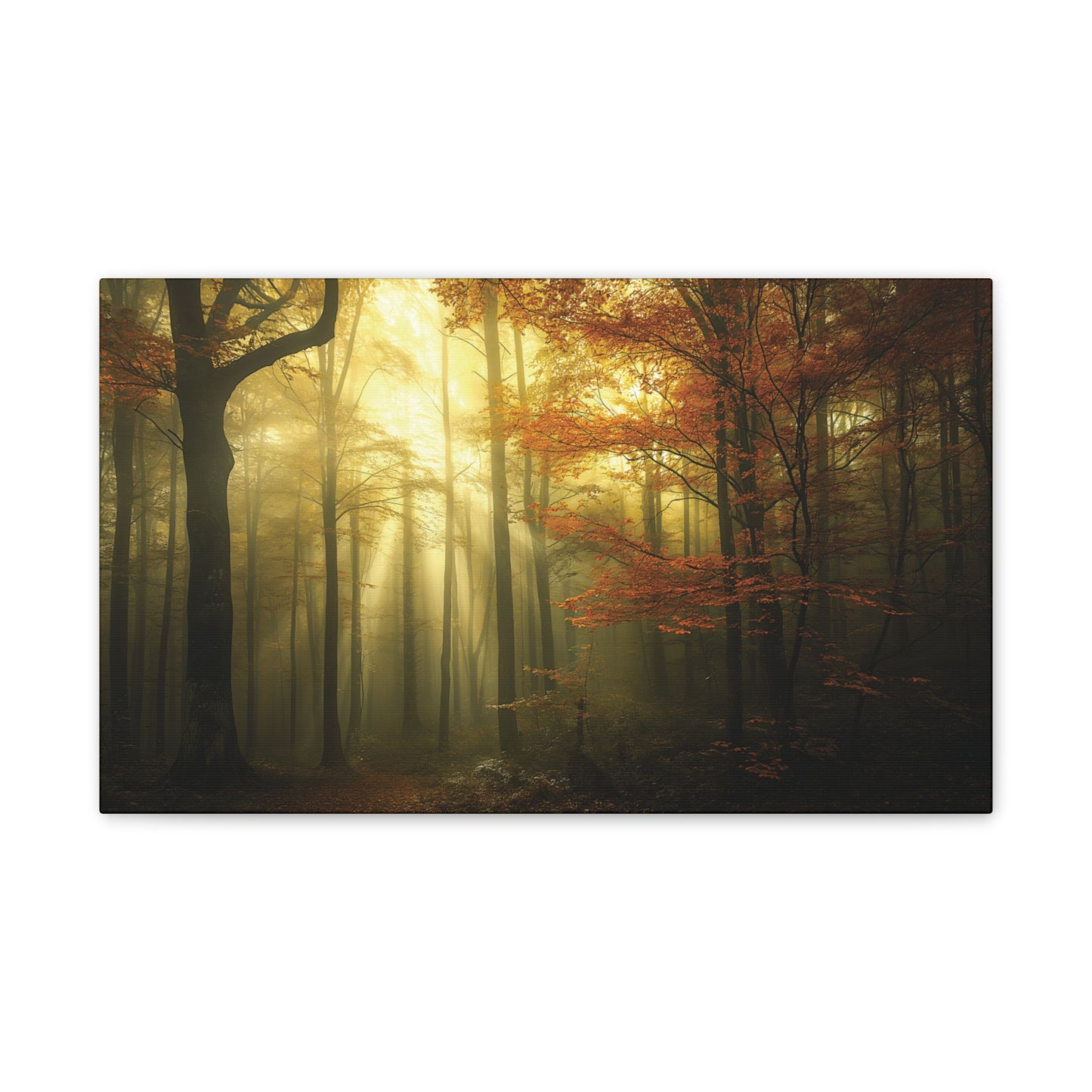 Misty Woods 1 Canvas Stretched, 0.75"