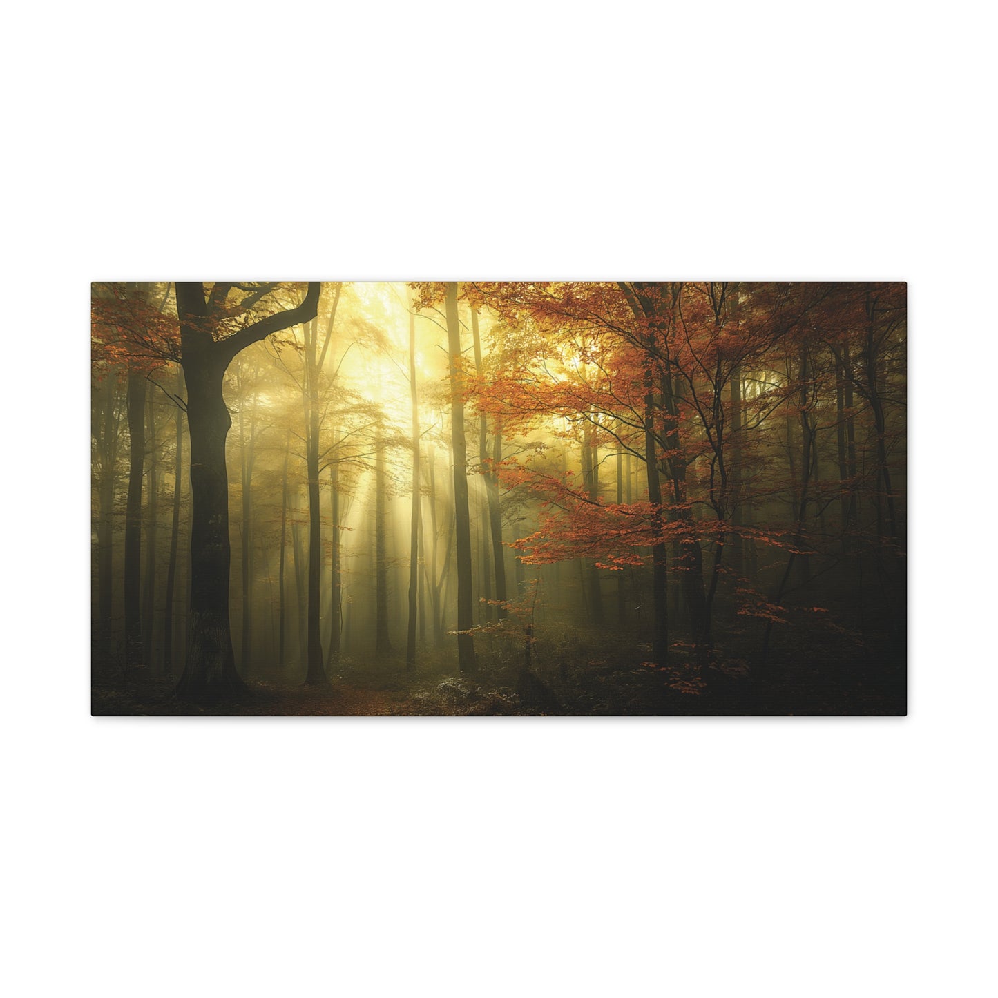 Misty Woods 1 Canvas Stretched, 0.75"