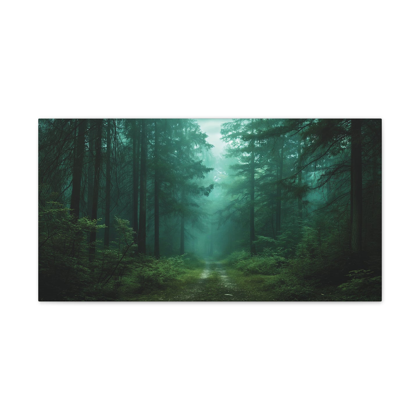 Misty Woods 2 Canvas Stretched, 0.75"