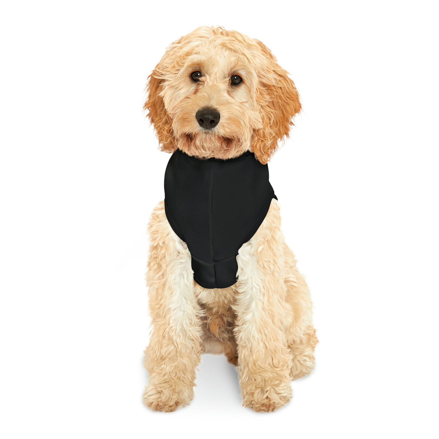 Security Guard Pet Hoodie