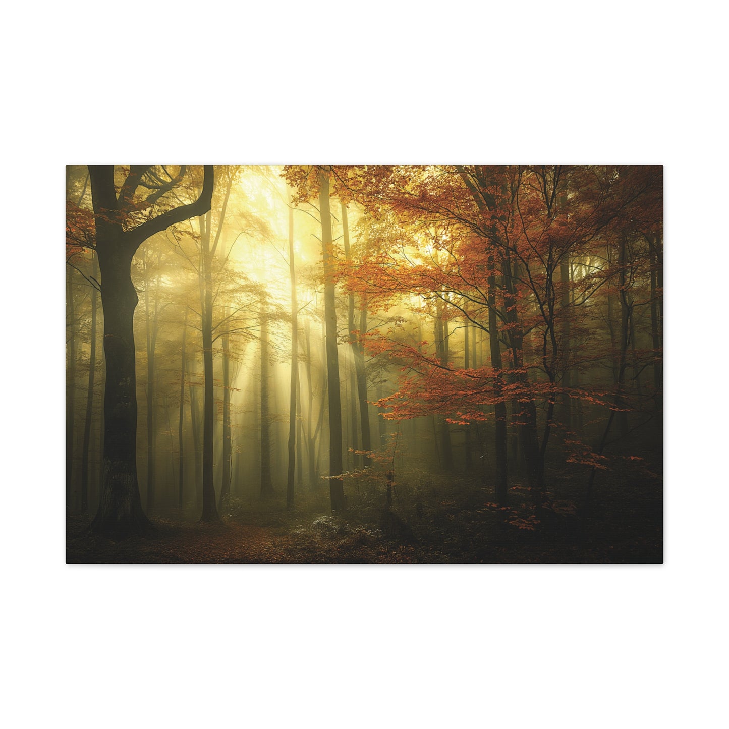 Misty Woods 1 Canvas Stretched, 0.75"