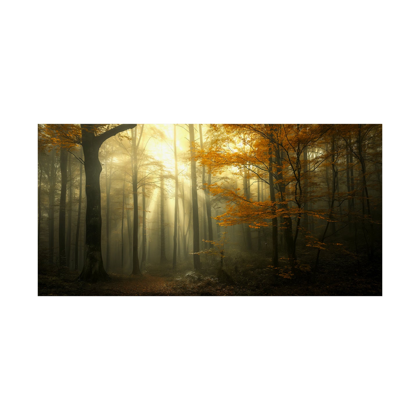 Woods 5 Horizontal Posters