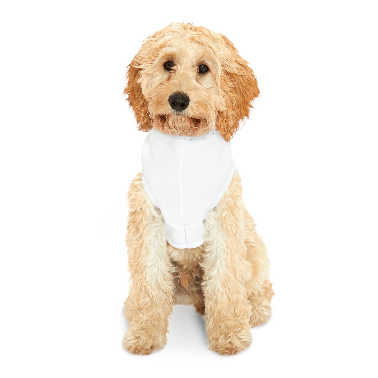 Security Guard Pet Hoodie